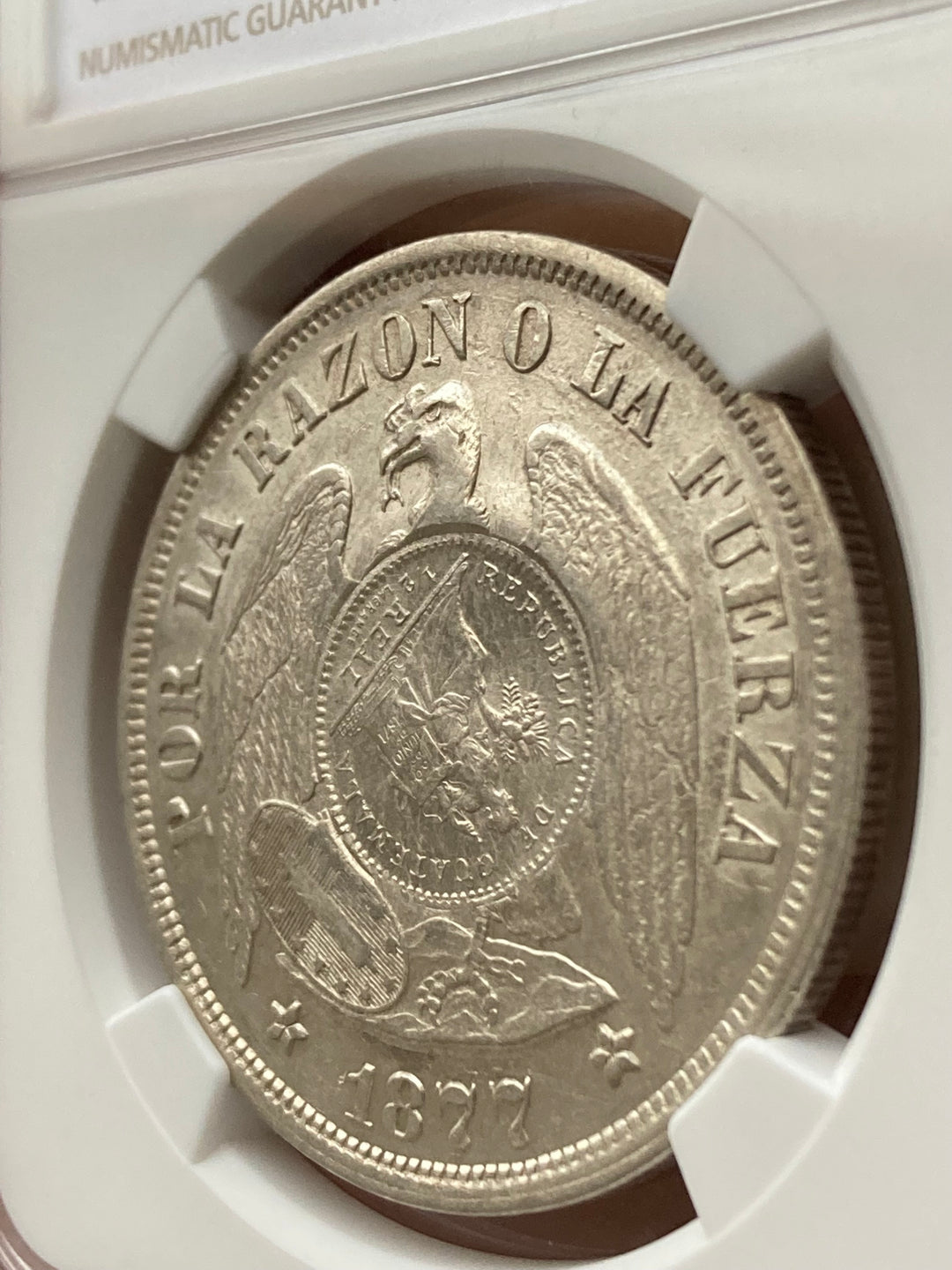 中南米銀貨】1894年 グアテマラ ペソ 1/2R 大型銀貨 NGC AU58 古銭